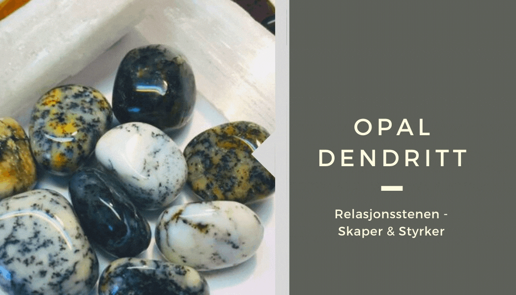 Opal Dendritt Sort Slipt Stein